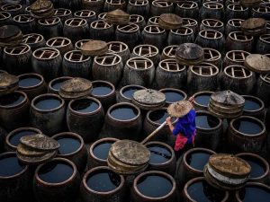 Phân biệt sự khác nhau giữa nước mắm truyền thống và nước mắm công nghiệp dựa vào thành phần và quá trình sản xuất